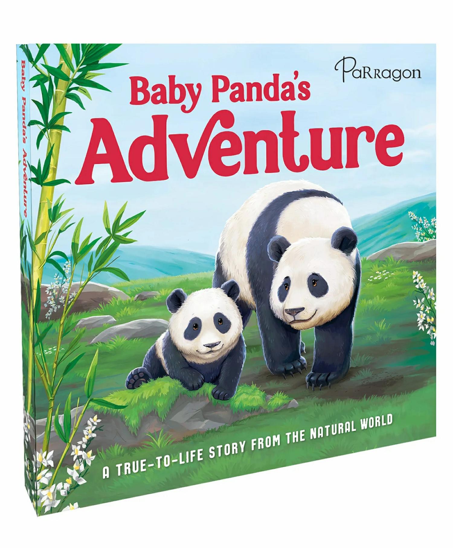 Baby Panda’s Adventure | A True-To-Life Story From The Natural World | Story Book | Board Book For Kids  |   Board Books Board Books Board Books