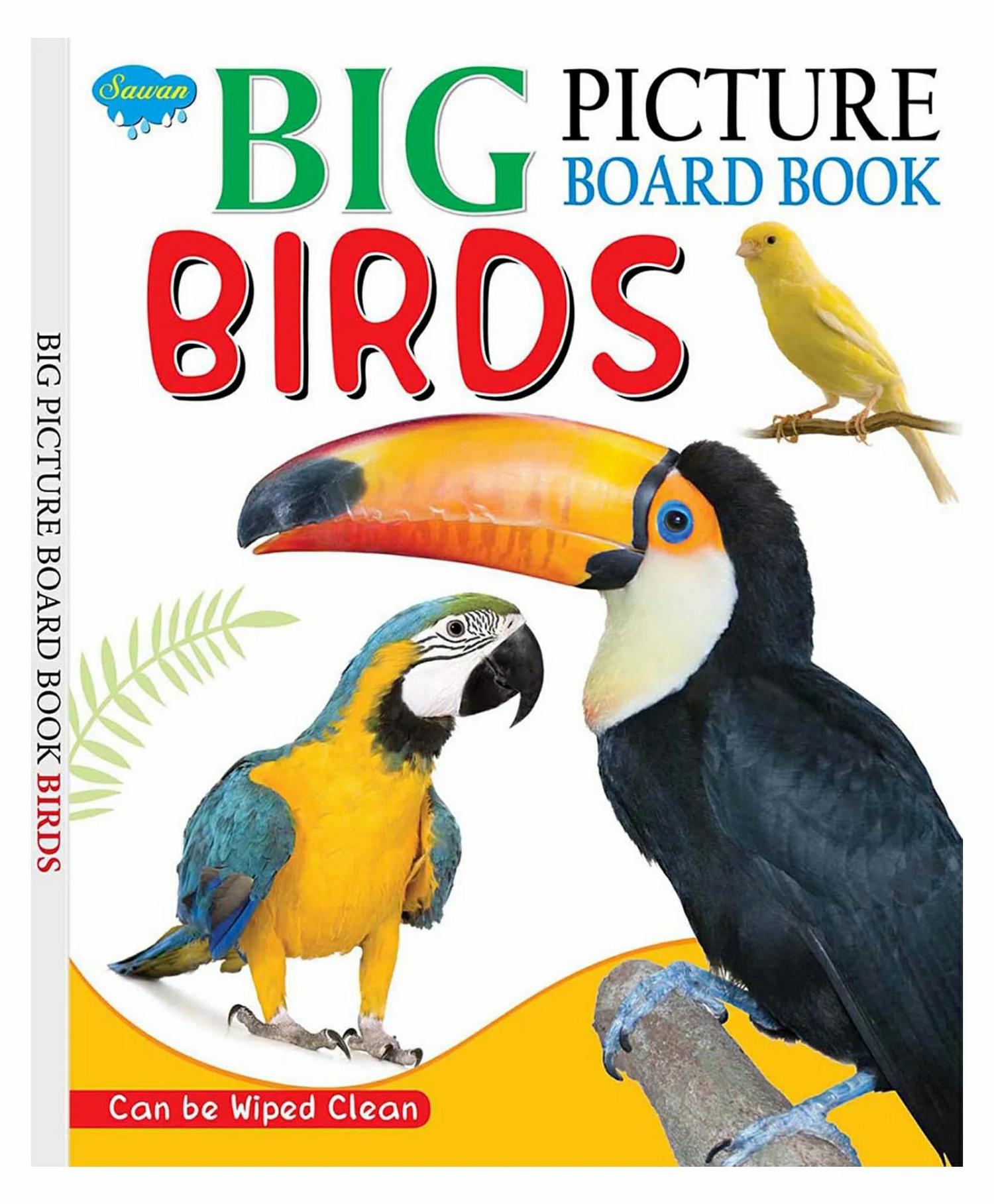 Birds Wipe And Clean Picture Board Book – English  |   Board Books Board Books Board Books