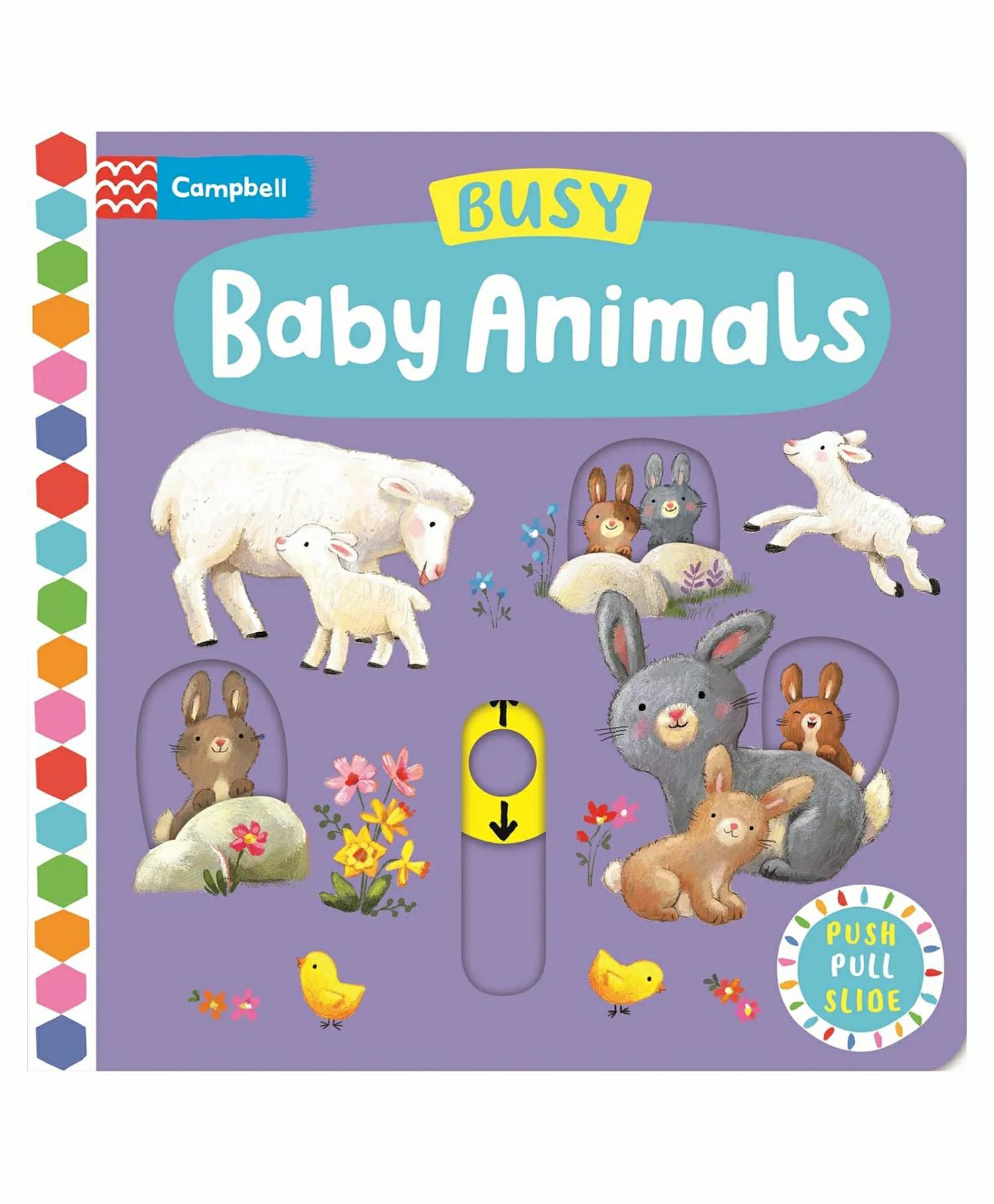 Busy Baby Animals Board Book – English  |   Board Books Board Books Board Books