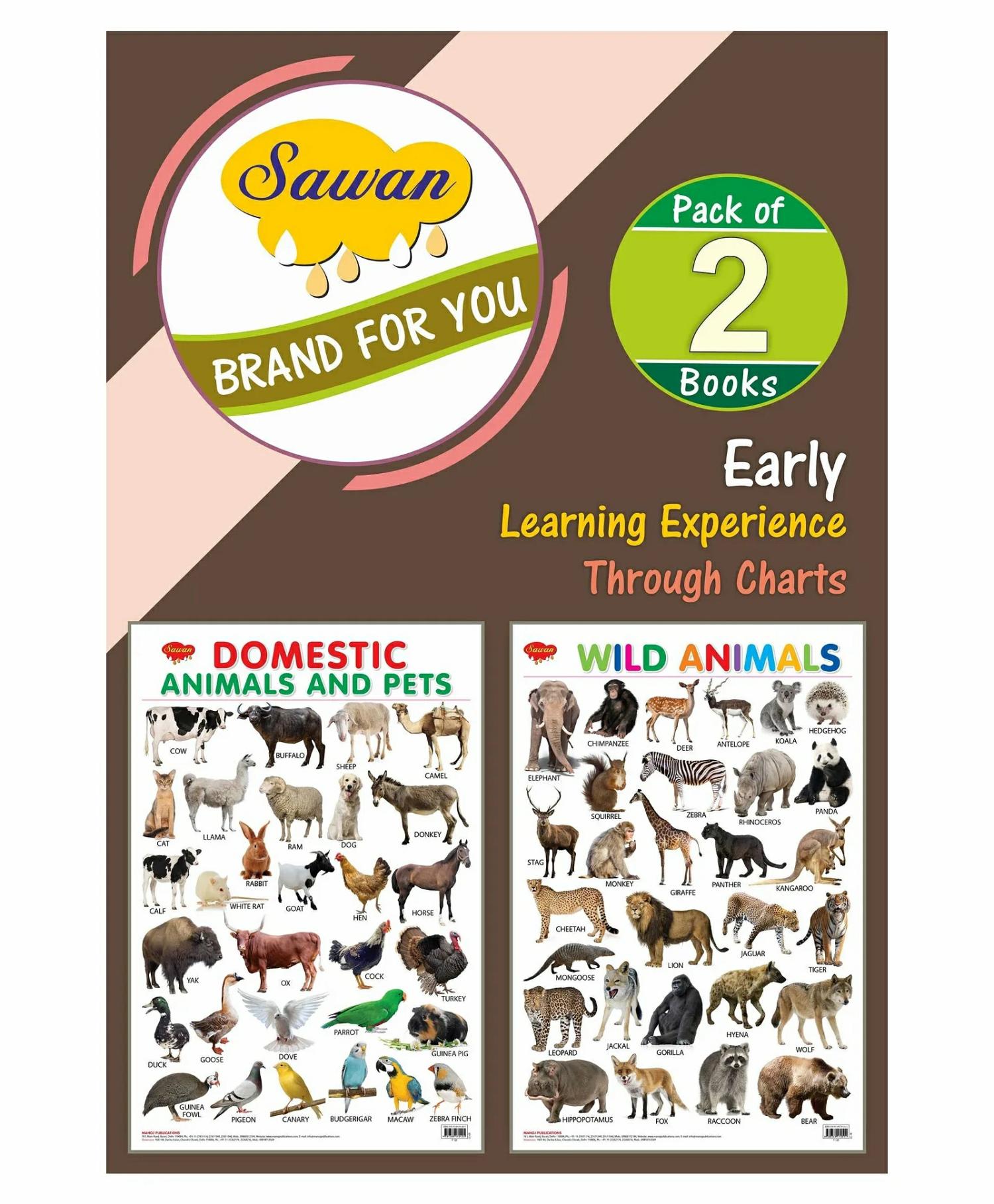 Child’s First Learning Charts Pack Of 2 – English  |   Read & Learn Read & Learn Read & Learn