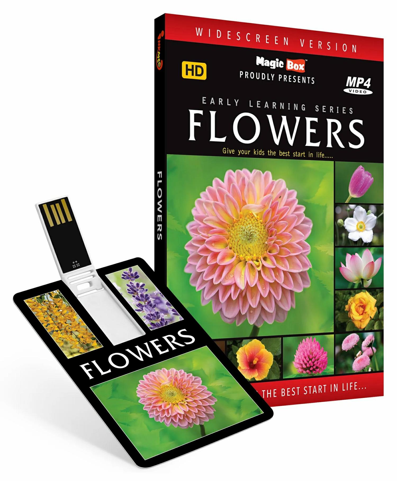 Inkmeo Usb Memory Stick Flowers – English  |   Cd’s & Movies Cd's & Movies Cd's & Movies