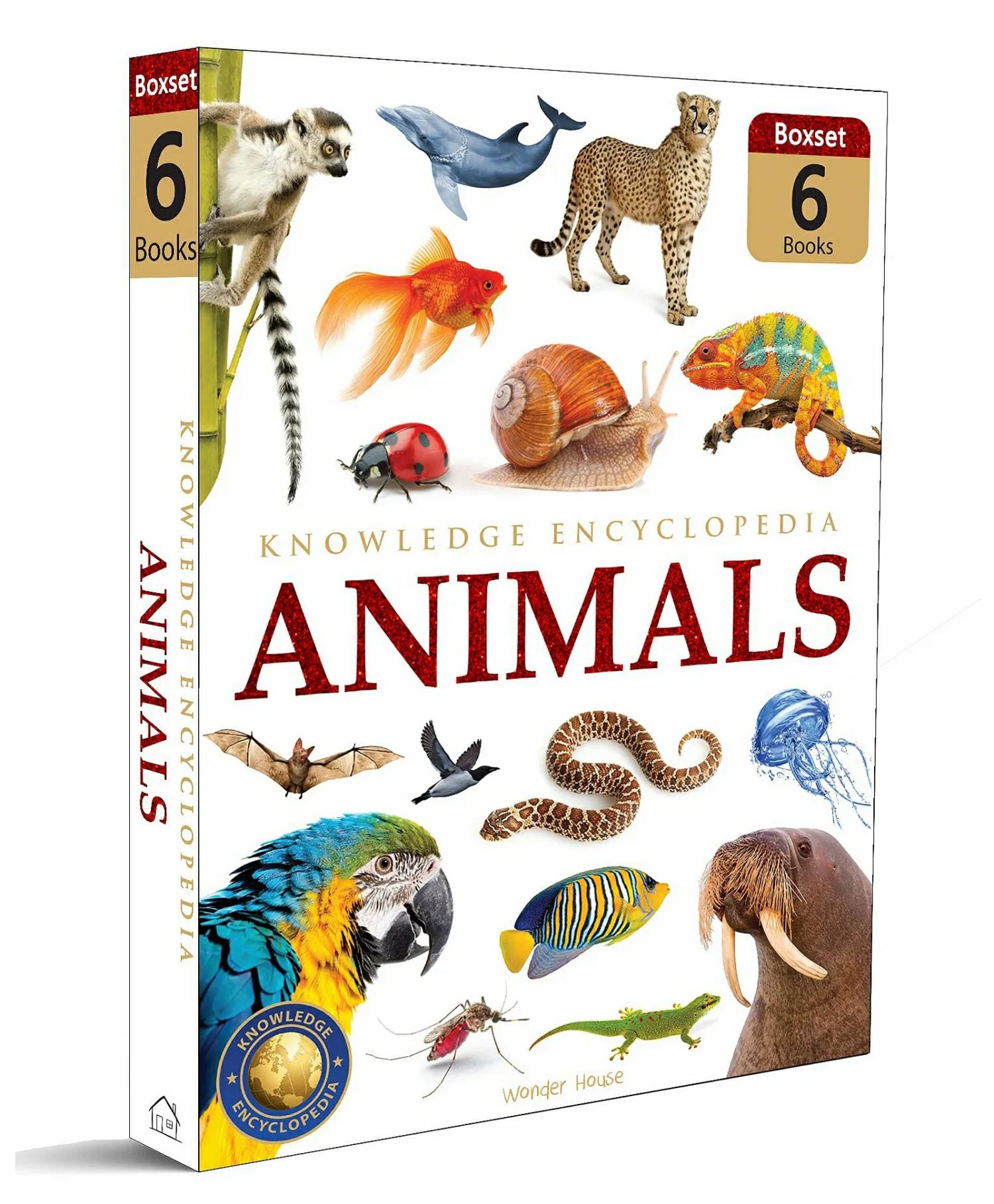 Knowledge Encyclopedia Animals Collection Of 6 Books Set – English  |   Picture Books Picture Books Picture Books