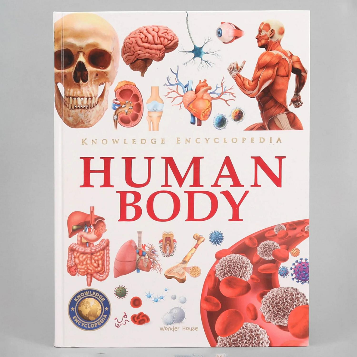 Knowledge Encyclopedia Human Body – English  |   Read & Learn Read & Learn Read & Learn