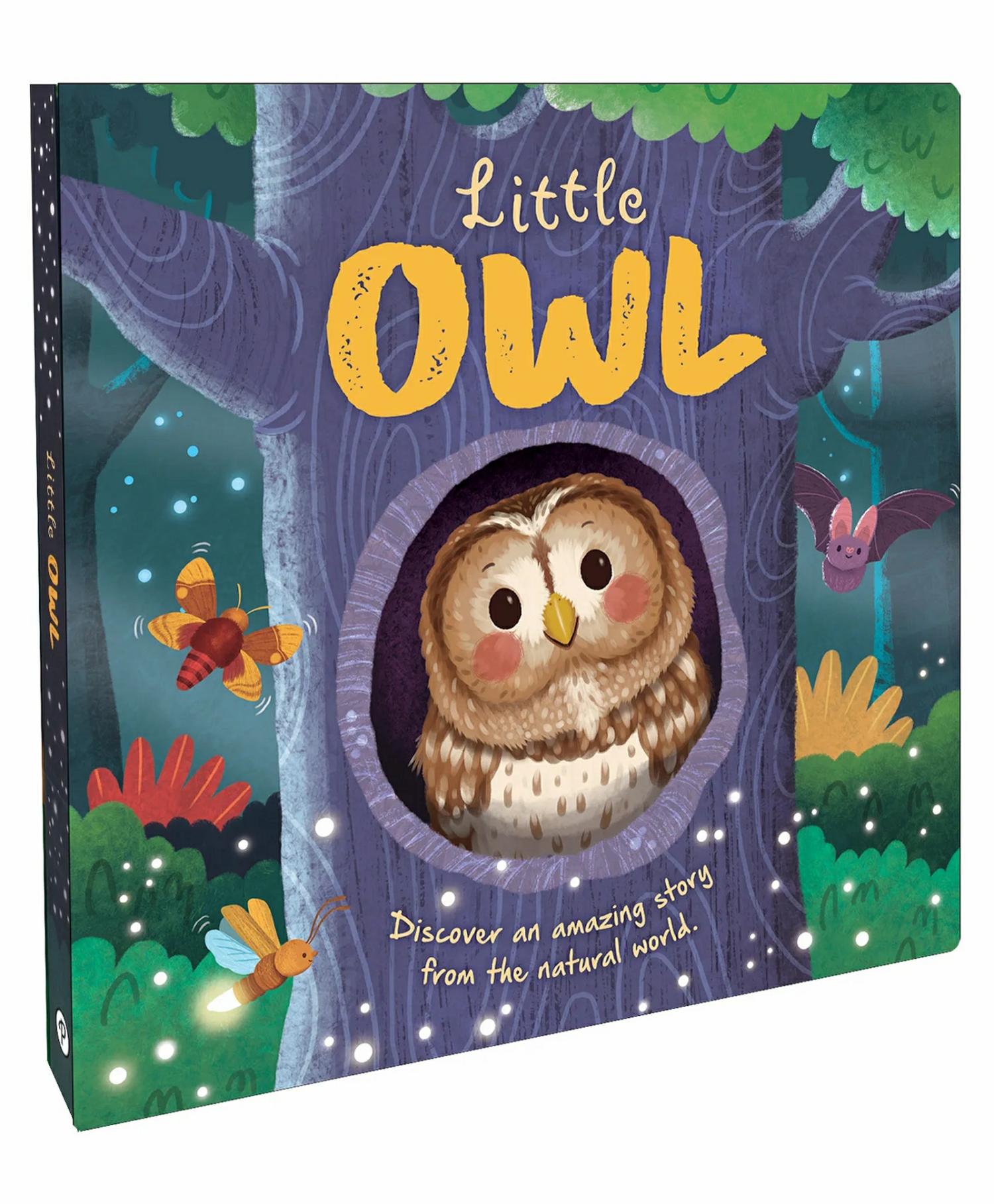 Little Owl | Discover An Amazing Story Of Owl | Story Book | Board Book For Kids  |   Board Books Board Books Board Books