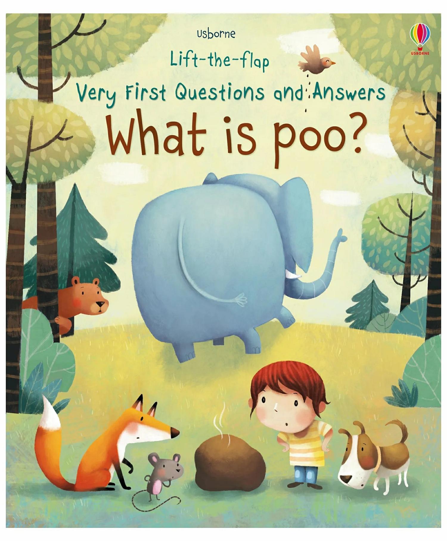 Ltf Very First Q&A What Is Poo – English  |   Board Books Board Books Board Books