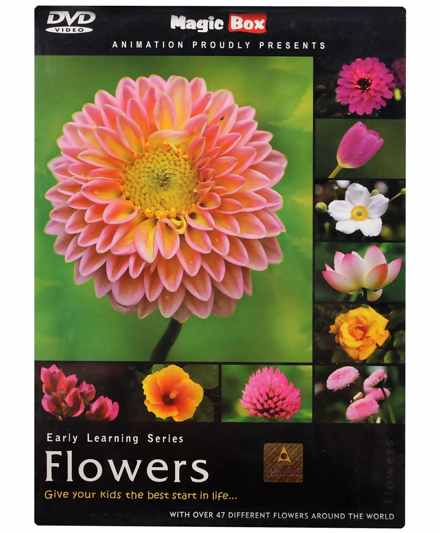 Magicbox Dvd Flowers – English  |   Cd’s & Movies Cd's & Movies Cd's & Movies