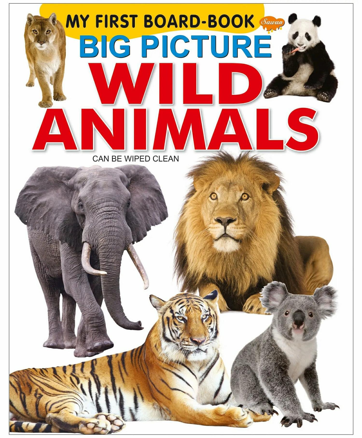 My First Board Book Of Big Picture Wild Animals  |   Read & Learn Picture Books Picture Books