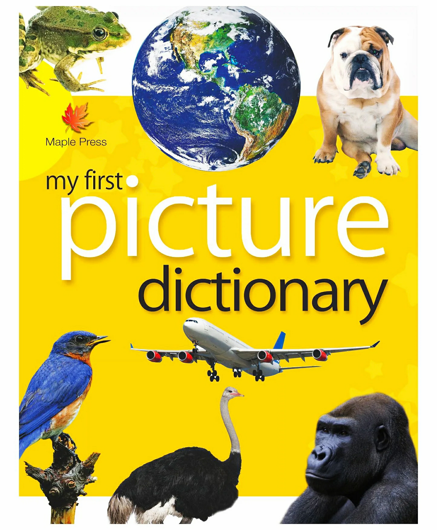 My First Picture Dictionary – English  |   Picture Books Picture Books Picture Books