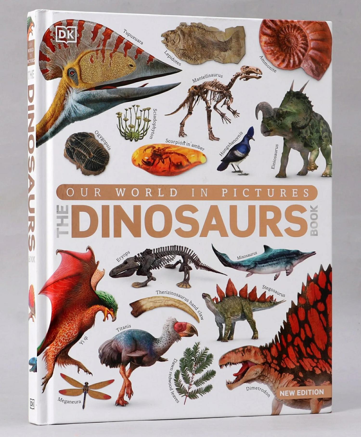 Our World In Pictures The Dinosaur Book – English  |   Picture Books Picture Books Picture Books