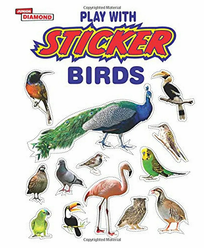 Play With Sticker Birds Paperback Book – English  |   Sticker Books Sticker Books Sticker Books