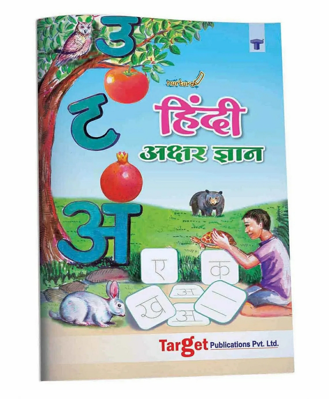 Target Publication Akshar Gyan Practice Book – Hindi  |   Read & Learn Picture Books Picture Books