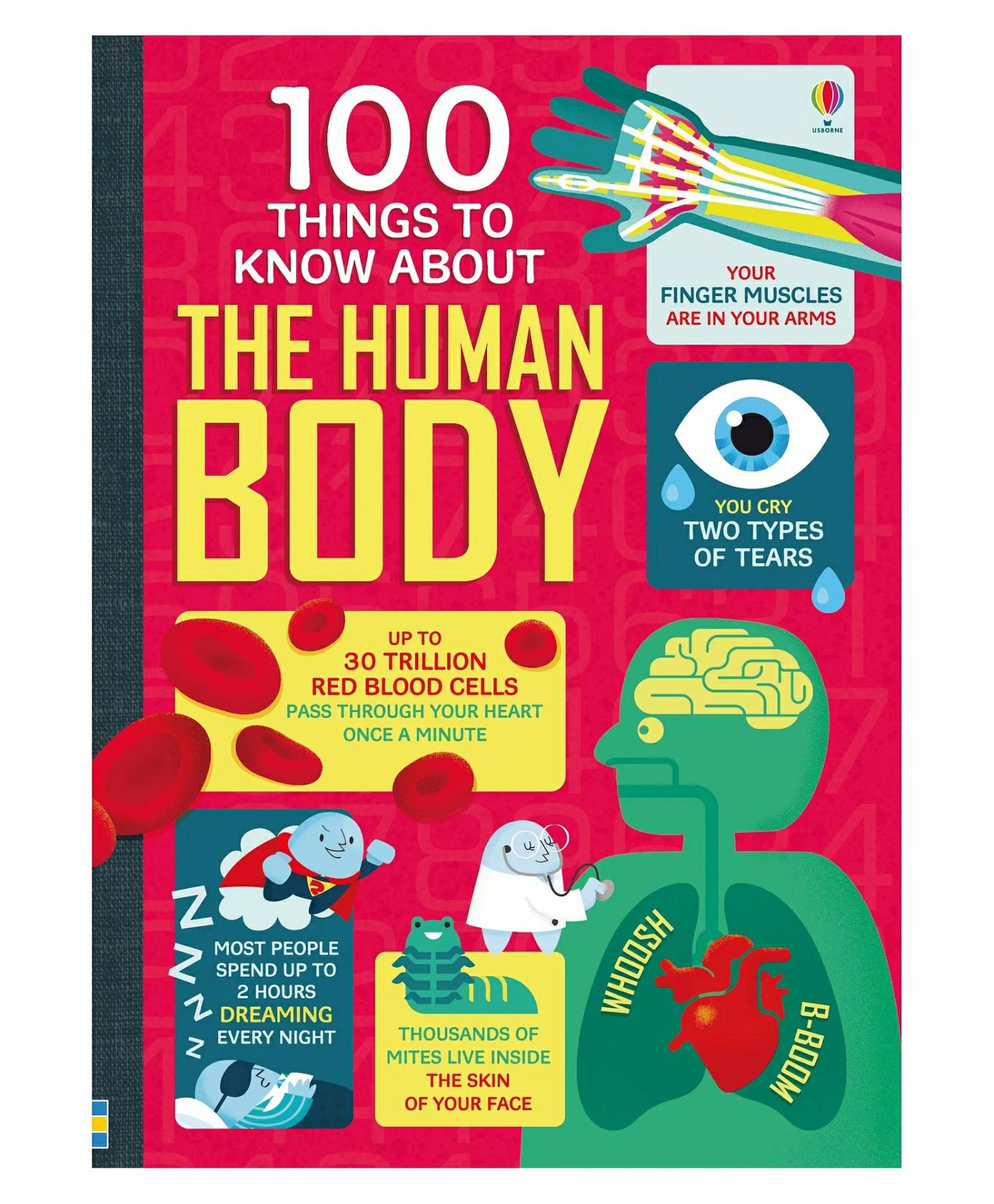 Usborne 1 Things To Know About The Human Body – English  |   Read & Learn Read & Learn Read & Learn